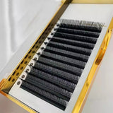 HiLash Volume 4D Eyelash Premade Fans W Lash