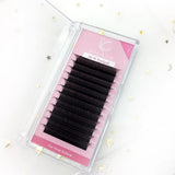 3D W Shape Lashes Clover Eyelash Premade Volume Fans Lash